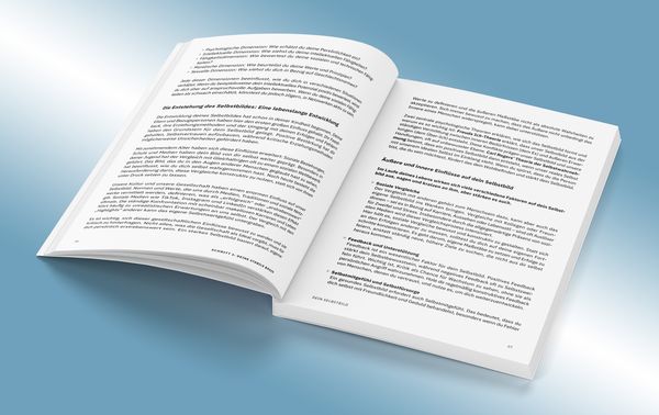 Produktbild: Der 5-Schritte-Plan zur individuellen Karrieregestaltung