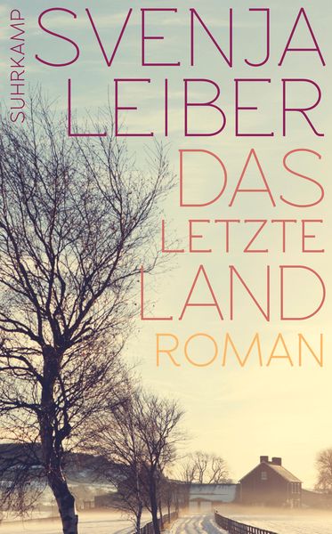 Produktbild: Das letzte Land