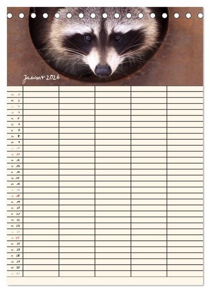 Produktbild: Waschb&auml;ren Familienplaner (Tischkalender 2026 DIN A5 hoch), CALVENDO Monatskalender