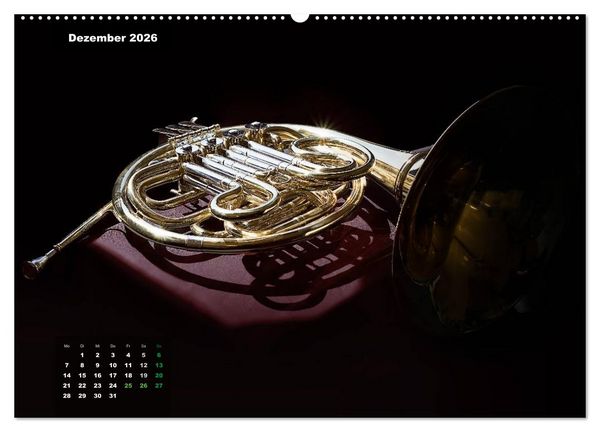 Produktbild: Das Horn, ein herrliches Instrument (hochwertiger Premium Wandkalender 2026 DIN A2 quer), Kunstdruck in Hochglanz