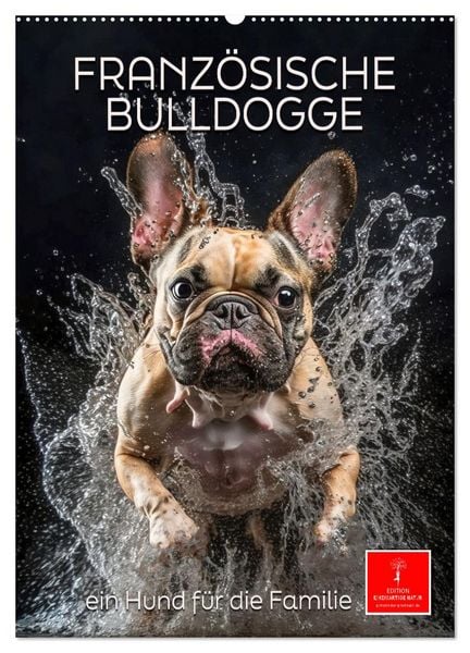 Produktbild: Franz&ouml;sische Bulldogge - ein Hund f&uuml;r die Familie (Wandkalender 2026 DIN A2 hoch), CALVENDO Monatskalender