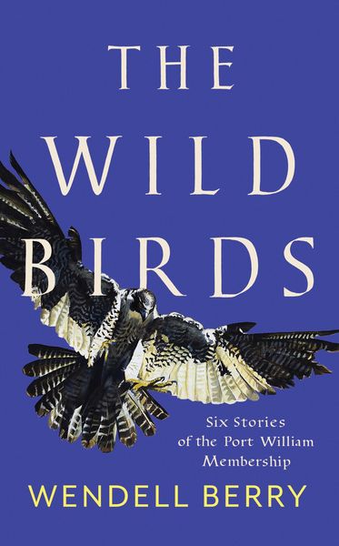 Produktbild: The Wild Birds