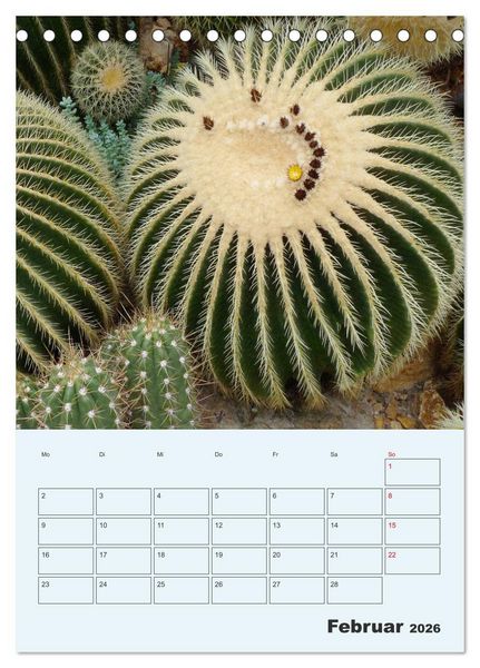 Produktbild: Wehrhafte Sukkulenten (Tischkalender 2026 DIN A5 hoch), CALVENDO Monatskalender