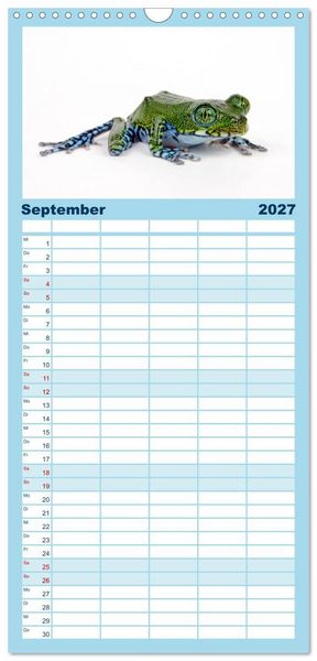 Produktbild: Familienplaner 2027 - Farbenpracht der Fr&ouml;sche mit 5 Spalten (Wandkalender, 21 x 45 cm) CALVENDO