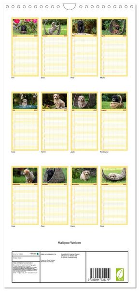 Produktbild: Familienplaner 2027 - Maltipoo Welpen mit 5 Spalten (Wandkalender, 21 x 45 cm) CALVENDO