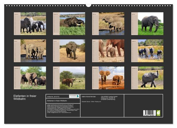 Produktbild: Elefanten in freier Wildbahn (Wandkalender 2026 DIN A2 quer), CALVENDO Monatskalender