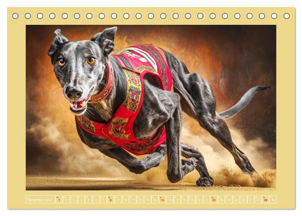 Produktbild: Windhunde. Seelenfl&uuml;sterer zwischen Anmut, Tempo und Stille (Tischkalender 2026 DIN A5 quer), CALVENDO Monatskalender