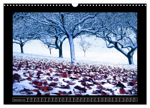Produktbild: Photographies de Montagne (Calendrier mural 2026 DIN A3 vertical), CALVENDO calendrier mensuel