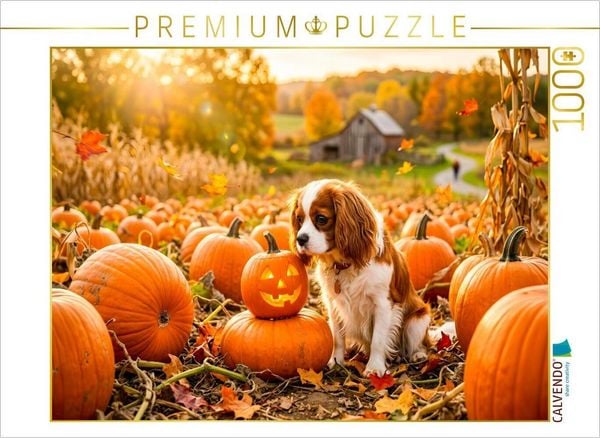CALVENDO Puzzle Cavalier Welpe im herbstlichen Kürbisfeld | 1000 Teile Lege-Größe 64 × 48 cm Foto-Puzzle für glückliche Stunden