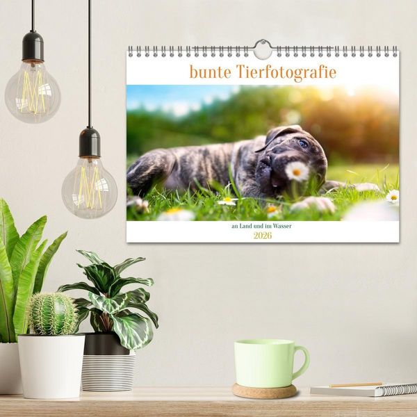 Produktbild: bunte Tierfotografie an Land und im Wasser (Wandkalender 2026 DIN A4 quer), CALVENDO Monatskalender
