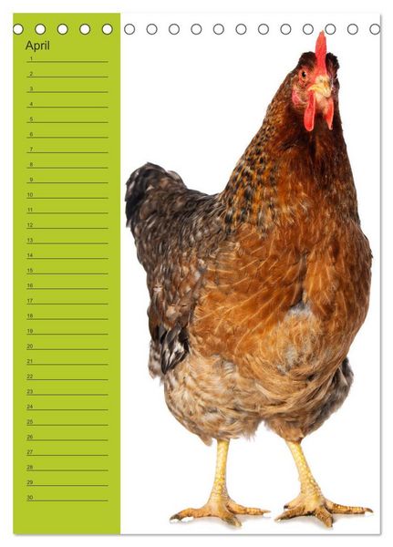 Produktbild: Kunterbunte H&uuml;hner Truppe (Tischkalender 2026 DIN A5 hoch), CALVENDO Monatskalender