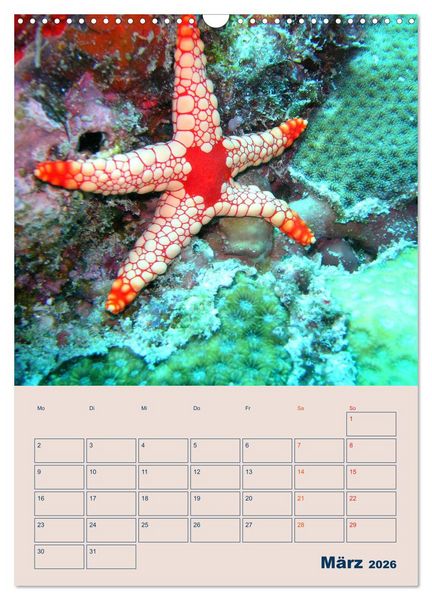 Produktbild: Mahe - Inselparadies der Seychellen (Wandkalender 2026 DIN A3 hoch), CALVENDO Monatskalender