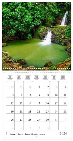 Produktbild: Dream destinations in the Caribbean (Wall Calendar 2026 12 &times; 12 Inch) CALVENDO 12 Month Wall Calendar