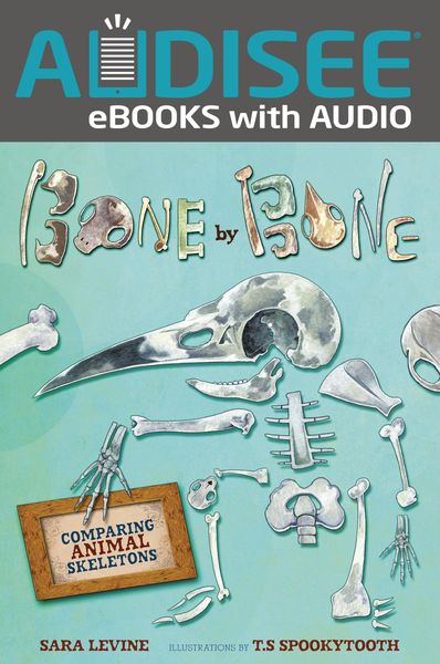 Produktbild: Bone by Bone
