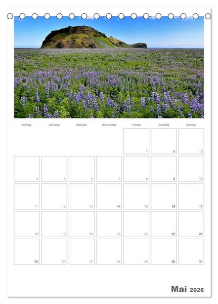 Produktbild: Faszination Island - Landschaftskalender mit Tagesplaner 2026 / Planer (Tischkalender 2026 DIN A5 hoch), CALVENDO Monatskalender