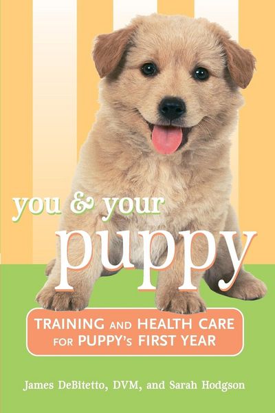 Produktbild: You and Your Puppy
