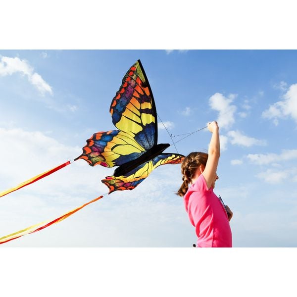 Produktbild: Butterfly Kite Swallowtail L, Schmetterling Drachen
