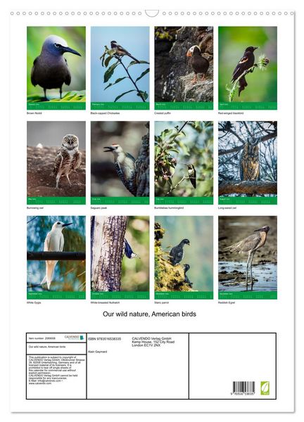 Produktbild: Our wild nature, American birds (Wall Calendar 2026 DIN A2 portrait), CALVENDO 12 Month Wall Calendar