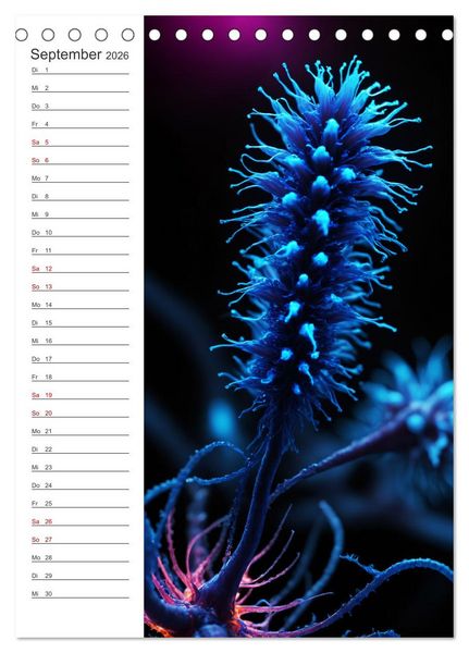 Produktbild: Leuchtende Mikroflora (Tischkalender 2026 DIN A5 hoch), CALVENDO Monatskalender