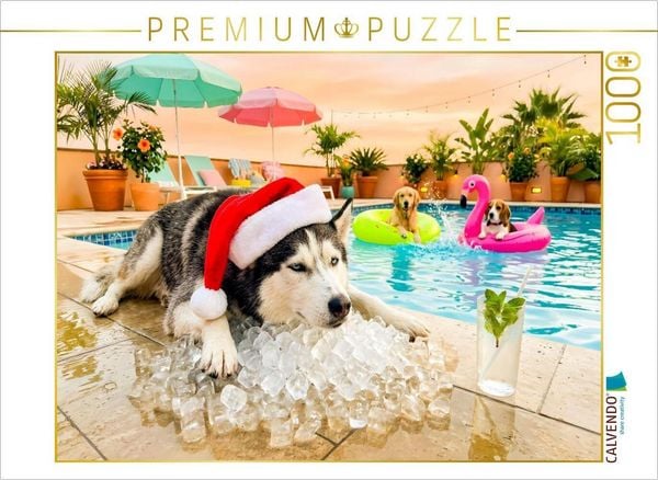CALVENDO Puzzle Husky on the Rocks - Weihnachtsmotiv | 1000 Teile Lege-Größe 64x48cm Foto-Puzzle für glückliche Stunden