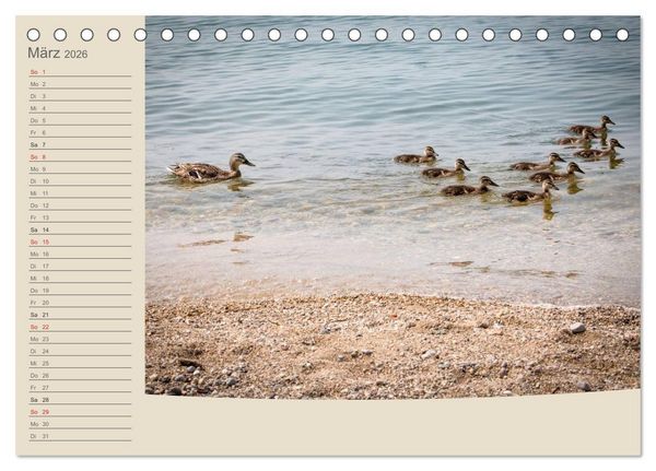 Produktbild: Gardasee - Manerba del Garda (Tischkalender 2026 DIN A5 quer), CALVENDO Monatskalender