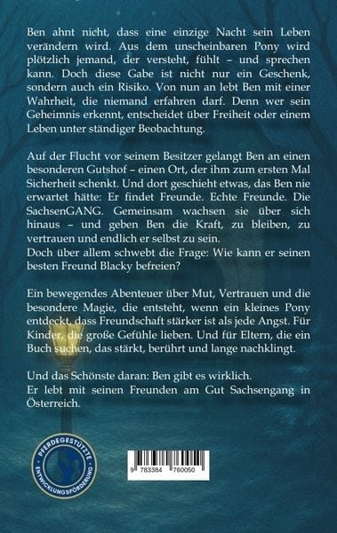 Produktbild: Ben und die SachsenGANG - Das Weihnachtswunder