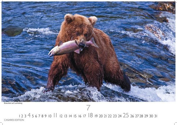 Produktbild: Alaska Kalender 2027 &ndash; Wandkalender | Fotokalender Nordamerika 35x50cm -mit beeindruckenden Naturmotiven, Gletscher, Wildnis und faszinierende Landschaften