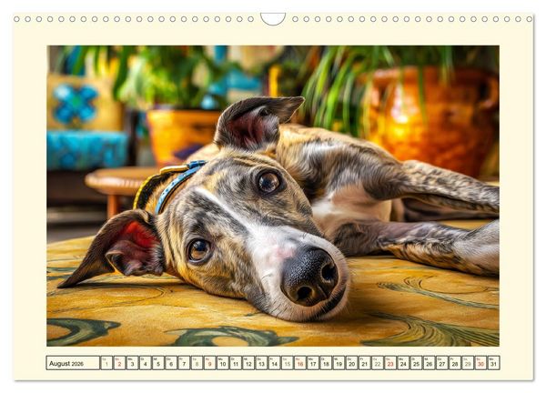 Produktbild: Whippet Wunder. Grazile Hunde mit sanfter Kraft und feiner Seele (Wandkalender 2026 DIN A3 quer), CALVENDO Monatskalender