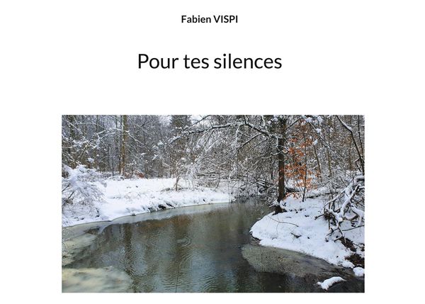 Produktbild: Pour tes silences