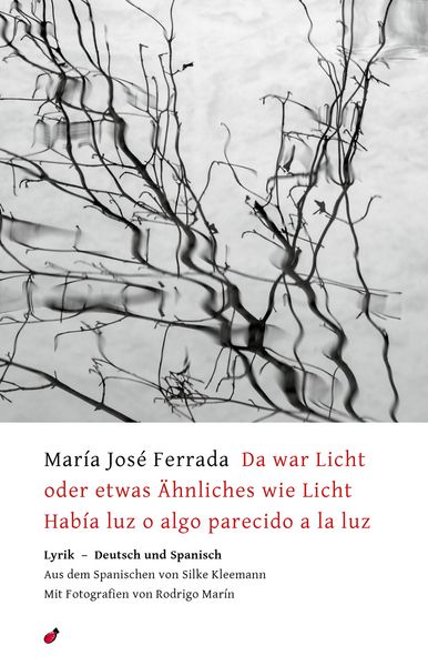Produktbild: Da war Licht oder etwas &Auml;hnliches wie Licht / Hab&iacute;a luz o algo parecido a la luz