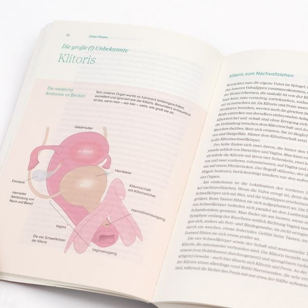 Produktbild: Das gro&szlig;e Gynbuch
