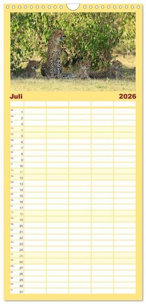 Produktbild: Familienplaner 2026 - Geparden - Begegnungen in Afrika mit 5 Spalten (Wandkalender, 21 x 45 cm) CALVENDO
