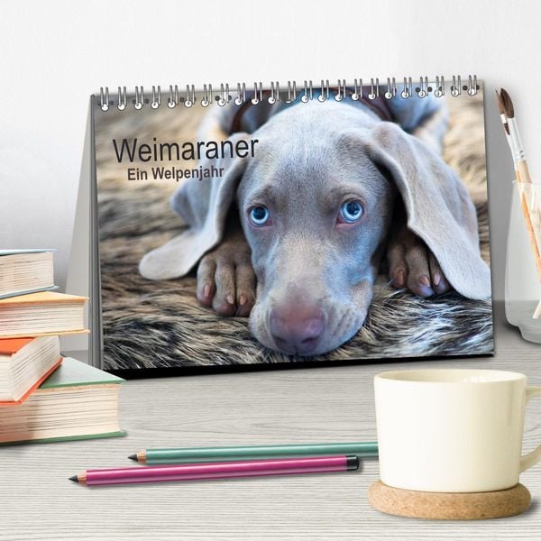 Produktbild: Weimaraner - Ein Welpenjahr (Tischkalender 2026 DIN A5 quer), CALVENDO Monatskalender