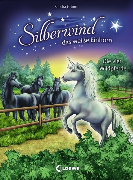 Produktbild: Silberwind, das wei&szlig;e Einhorn (Band 3) - Die vier Wildpferde