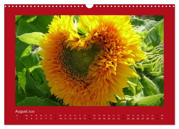 Produktbild: Botschaften mit Herz! (Wandkalender 2026 DIN A3 quer), CALVENDO Monatskalender