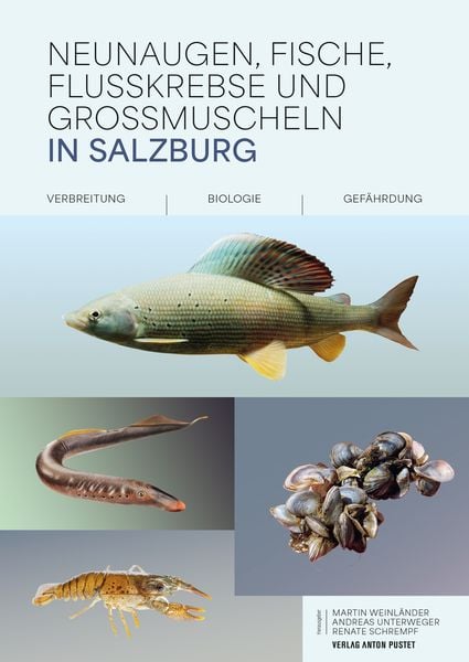 Produktbild: Neunaugen, Fische, Flusskrebse und Großmuscheln in Salzburg