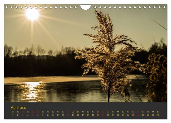 Produktbild: Morgend&auml;mmerung (Wandkalender 2026 DIN A4 quer), CALVENDO Monatskalender