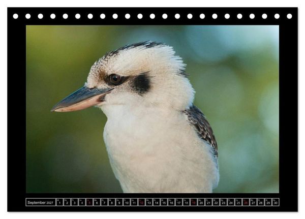 Produktbild: V&ouml;gel von "Down Under" Australien (Tischkalender 2027 DIN A5 quer), CALVENDO Monatskalender