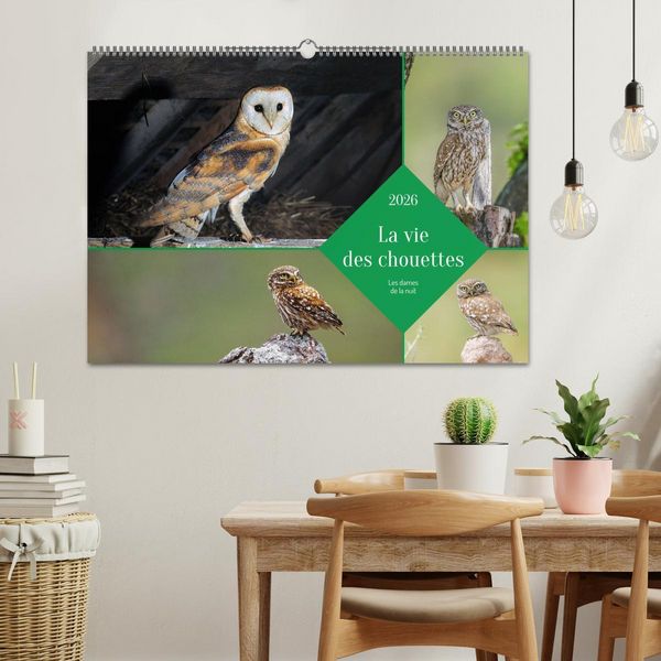 Produktbild: La vie des chouettes, les dames de la nuit (Calendrier mural 2026 DIN A2 vertical), CALVENDO calendrier mensuel