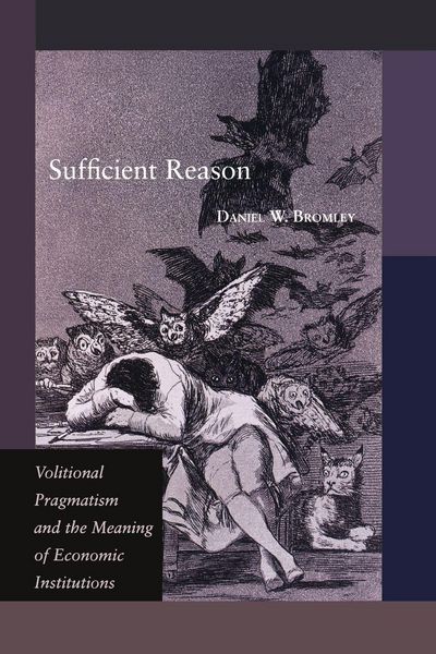 Produktbild: Sufficient Reason