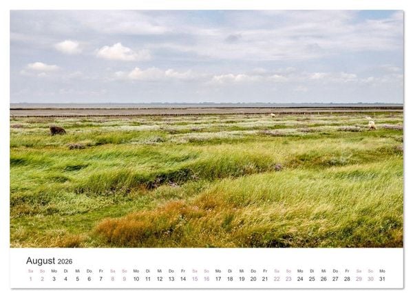 Produktbild: Hamburger Hallig - Der Weg ist das Ziel (hochwertiger Premium Wandkalender 2026 DIN A2 quer), Kunstdruck in Hochglanz