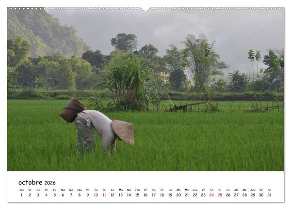Produktbild: Vietnam du Nord au Sud (Calendrier mural 2026 DIN A2 vertical) calendrier de bureau