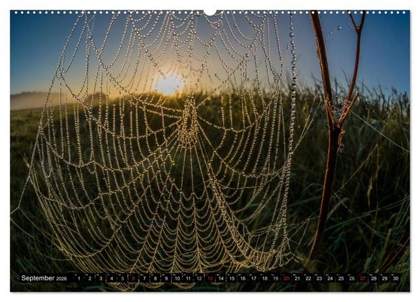 Produktbild: Immer wieder Sonnenschein (Wandkalender 2026 DIN A2 quer), CALVENDO Monatskalender