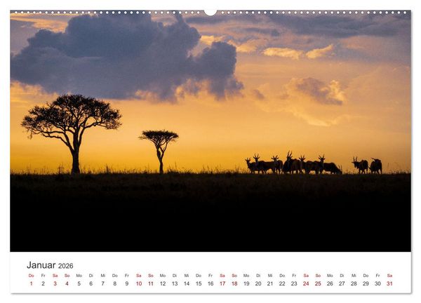 Produktbild: Kenia - Eine Safari durch unber&uuml;hrte Natur. (Wandkalender 2026 DIN A2 quer), CALVENDO Monatskalender