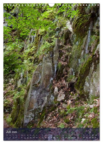 Produktbild: Wildes Bodetal (Wandkalender 2026 DIN A3 hoch), CALVENDO Monatskalender