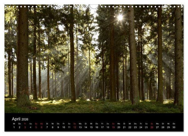 Produktbild: Zauberhafter Bayerischer Wald (Wandkalender 2026 DIN A3 quer), CALVENDO Monatskalender