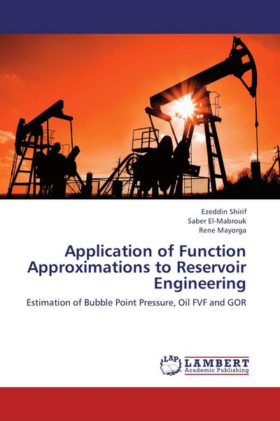 Produktbild: Application of Function Approximations to Reservoir Engineering