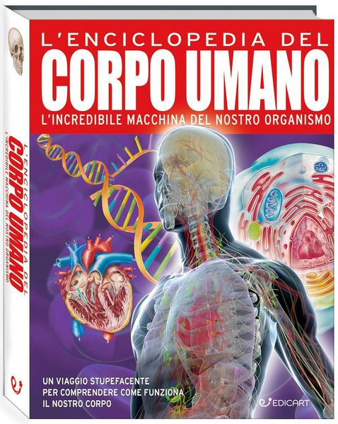 Produktbild: L' enciclopedia del corpo umano