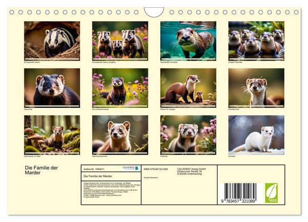 Produktbild: Die Familie der Marder (Wandkalender 2026 DIN A4 quer), CALVENDO Monatskalender