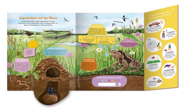 Produktbild: Die Wiese